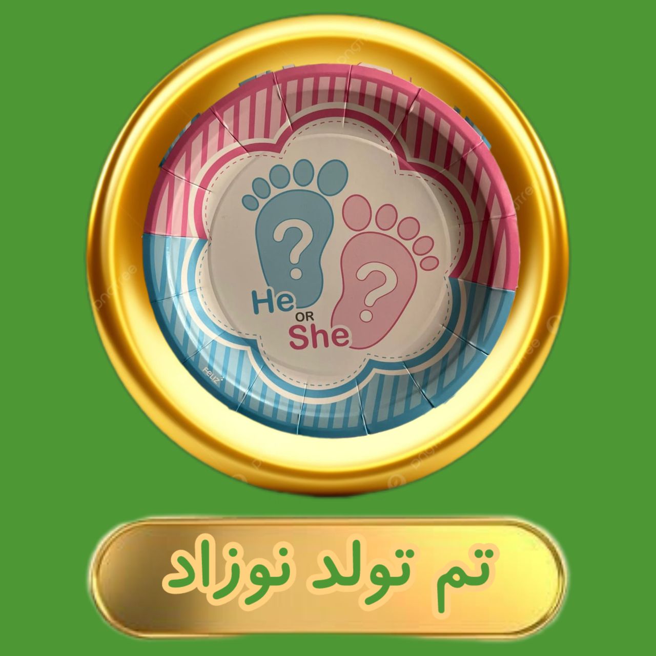 تم-تولد-نوزاد